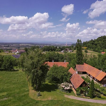 Lexsimihof - Stoeckl Apartamento Wildon Exterior foto